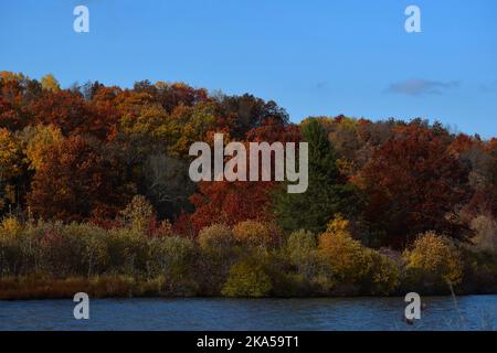 Herbstfarben im Südwesten von Wisconsin Stockfoto