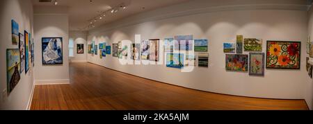 Ein Panoramablick auf eine Museumsausstellung mit modernen illustrierenden Quilts Stockfoto