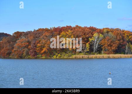 Herbstfarben im Südwesten von Wisconsin Stockfoto