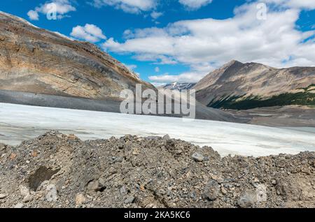 Athabasca-Gletscher im Sommer, Columbia Icefield, Jasper-Nationalpark, Alberta, Kanada. Stockfoto