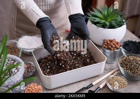 Bodensubstrat-Vorbereitung für die Umpflanzung von Zimmerpflanzen auf Betongrund Stockfoto