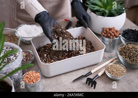 Bodensubstrat-Vorbereitung für die Umpflanzung von Zimmerpflanzen auf Betongrund Stockfoto