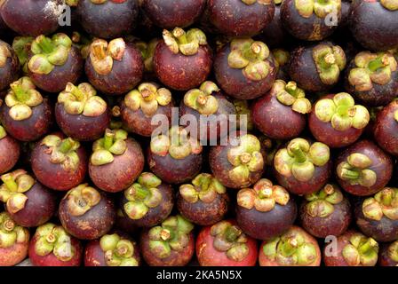 Frischer Mangostan auf einer Theke in einem Markt in sri lanka Stockfoto