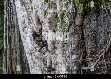 Kendari, Indonesien. 30. Oktober 2022. Ein Besucher versucht auf einer Klettertour in Konawe eine Karstklippe zu erklimmen. Sawapudo Cliff, das Karstfelsen mit einer Höhe von etwa 20 Metern hat, wird von vielen Touristen und Naturliebhabern als Klettergebiet besucht. Kredit: SOPA Images Limited/Alamy Live Nachrichten Stockfoto