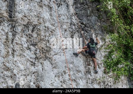 Kendari, Indonesien. 30. Oktober 2022. Ein Besucher versucht, auf die Spitze der Karstklippen in Konawe zu klettern. Sawapudo Cliff, das Karstfelsen mit einer Höhe von etwa 20 Metern hat, wird von vielen Touristen und Naturliebhabern als Klettergebiet besucht. Kredit: SOPA Images Limited/Alamy Live Nachrichten Stockfoto