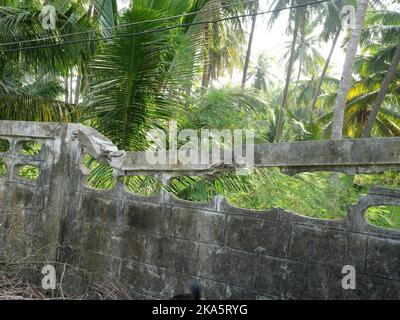 Gebrochene und rissige Betonwand mit grünem Baum und Garten im Hintergrund, beschädigte graue alte Wand Stockfoto