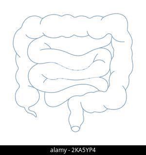Darmsymbol auf weißem Hintergrund isoliert. Strichkunst Darm, Darm, Dickdarm. Inneres menschliches Organ mit Blinddarm, Anus. Flache Vektorgrafik. Stock Vektor