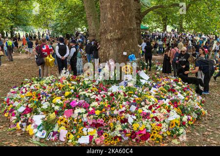 Menschen, die die Blumen-Tribute im Green Park betrachten, die von Trauernden zum Anlass des Todes von Königin Elizabeth II. Hinterlassen wurden. Green Park, London, Großbritannien. 11. September 2022 Stockfoto