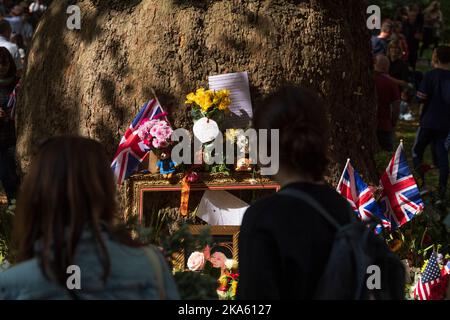 Menschen, die die Blumen-Tribute im Green Park betrachten, die von Trauernden zum Anlass des Todes von Königin Elizabeth II. Hinterlassen wurden. Green Park, London, Großbritannien. 11. September 2022 Stockfoto