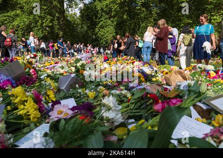 Menschen, die die Blumen-Tribute im Green Park betrachten, die von Trauernden zum Anlass des Todes von Königin Elizabeth II. Hinterlassen wurden. Green Park, London, Großbritannien. 11. September 2022 Stockfoto