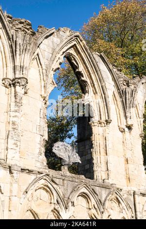 Pfauenskulptur in den Resten der St. Mary's Abbey in York City, North Yorkshire, England, Großbritannien Stockfoto