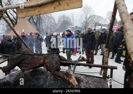 Oslo, Norwegen 20150113. Das Paar des königlichen Kronprinzen besucht am Dienstag den Toyenpark in Oslo zur Eröffnung des Outdoor Recreation Year 2015 (Friluftlivets aar). Kronprinzessin Mette-Marit prüft den über dem Feuer rösten Elch. Foto: Lise Aaserud / NTB scanpix Stockfoto