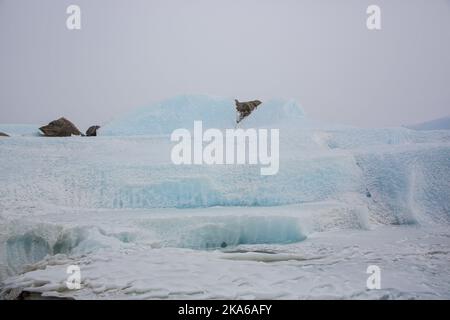 Troll, Queen Maud Land, Antarktis 20150212. Spektakuläre Landschaft rund um den Jutulsessen (Berg) in der Antarktis. König Harald besuchte das Gebiet anlässlich des 10.-jährigen Bestehens der norwegischen Forschungsstation Troll in der Antarktis. Foto: Tore Meek / NTB scanpix Stockfoto