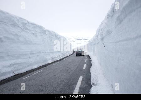 Sirdal, Norwegen 20150530. Nach einem kalten Monat im Mai erinnert es an den Sommer entlang der Kreisstraße 337 in den Bergen zwischen Setesdal und Sirdal. Es gibt viele Meter hohe Schneeflanken und am Samstag wurde leichte Schneeverwehung und zwei Grad über Null gemeldet. Foto: Tor Erik Schroeder / NTB scanpix Stockfoto