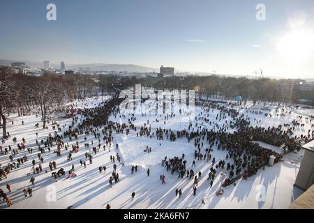 Oslo, Norwegen 20160117. An diesem Wochenende begehen ihre Majestäten König Harald und Königin Sonja den 25.. Jahrestag ihrer Thronbesteigung in Norwegen. Die königliche Familie nimmt an den Winterspielen auf dem Palastplatz Teil. Foto: Lise Aaserud / NTB scanpix Stockfoto