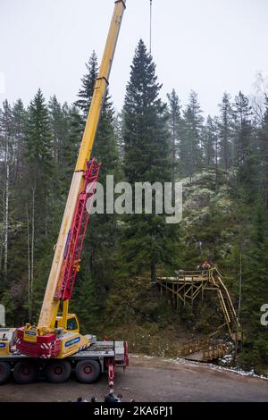 OSLO, Norwegen 20161116. Die Bürgermeisterin von Oslo, Marianne Borgen, und der Oberbürgermeister von Westminster, Ratsmitglied Steve Summers, gefällt am Mittwoch in Groenmo in Oestmarka den traditionellen Weihnachtsbaum nach London. Schüler der Klemetsrud Primary Schoo und Schüler der Manglerud School International Division und der Oslo International School unterhielten sich mit Weihnachtsliedern. Foto: Cornelius Poppe / NTB scanpix Stockfoto