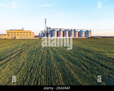 Körnerelevator. Metallkornaufzug in der landwirtschaftlichen Zone. Landwirtschaftliche Lagerung für die Ernte. Getreidesilos auf grünem Naturhintergrund. Außenansicht von Stockfoto