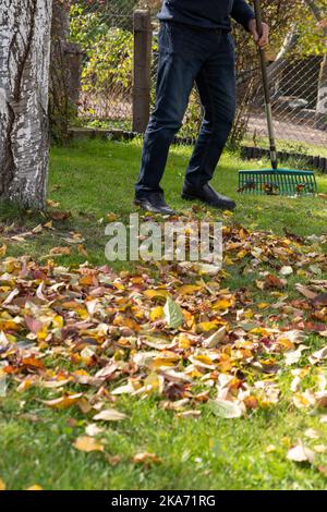 Älterer Mann, der im Herbst die Blätter im Garten fegt. Stockfoto