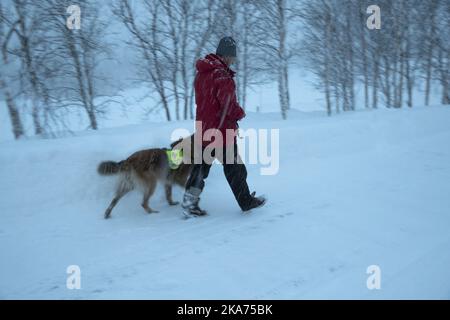 Kent Pedersen und Rettungshund Nico müssen auf besseres Wetter warten, bevor sie die vermissten Skifahrer suchen können. Die Rettungsaktion für die drei finnischen Bürger und die Schwedin, die nach einer Lawine im Tamok-Tal in Tromso am Mittwochabend tot gefürchtet werden, wird wegen schlechten Wetters verschoben. Stockfoto