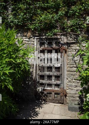 Alte verwitterte Tür, mit Holzbohlen eine quadratische Form angeordnet, in einer Mauer aus Stein mit Pflanzen bedeckt; Haddon Hall, Derbyshire, Großbritannien Stockfoto
