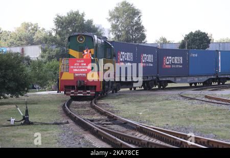 (200707) -- KIEW, 7. Juli 2020 (Xinhua) -- das Foto vom 6. Juli 2020 zeigt einen Containerzug aus dem chinesischen Wuhan, der einen Bahnhof in Kiew, Ukraine, erreicht. Der erste direkte Containerzug, der am 16. Juni die zentralchinesische Stadt Wuhan verließ, kam am Montag in Kiew an und eröffnete neue Möglichkeiten für die Zusammenarbeit zwischen China und der Ukraine, sagten ukrainische Beamte. (Foto von Sergey Starostenko/Xinhua) Stockfoto