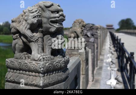 (200707) -- PEKING, 7. Juli 2020 (Xinhua) -- das Foto vom 7. Juli 2020 zeigt die steinernen Löwen an der Lugou-Brücke in Peking, der Hauptstadt Chinas. Am 7. Juli griffen 1937 japanische Soldaten chinesische Streitkräfte an der Lugou-Brücke, auch bekannt als Marco-Polo-Brücke, an, was den Beginn der umfassenden Invasion Japans in China und der achtjährigen Gräueltaten der japanischen Armee an chinesischen Zivilisten markierte. (Xinhua/Zhang Chenlin) Stockfoto