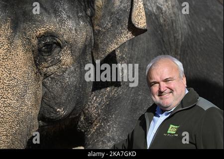 Leipzig, Deutschland. 30. Oktober 2022. Neben der Elefantenkuh Donchung steht der Leipziger Zoodirektor Jörg Junghold. Junhold ist seit 25 Jahren im Amt. Quelle: Heiko Rebsch/dpa/Alamy Live News Stockfoto