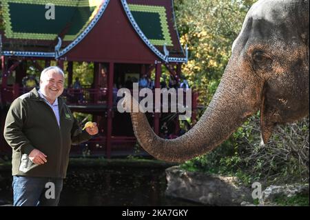 Leipzig, Deutschland. 30. Oktober 2022. Leipziger Zoodirektor Jörg Junghold übergibt Donchung, der Elefantenkuh, eine Banane. Junhold betreibt den Zoo seit 25 Jahren erfolgreich. Quelle: Heiko Rebsch/dpa/Alamy Live News Stockfoto