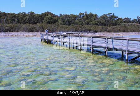 Lake Clifton, Western Australia, Erwachsener 60s, die Sehenswürdigkeiten besuchen. Thrombolithe. Lebende Fossilien Stockfoto