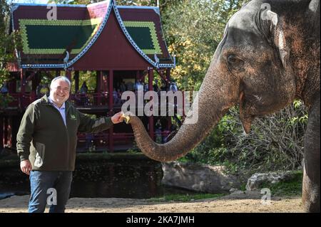 Leipzig, Deutschland. 30. Oktober 2022. Leipziger Zoodirektor Jörg Junghold übergibt Donchung, der Elefantenkuh, eine Banane. Junhold betreibt den Zoo seit 25 Jahren erfolgreich. Quelle: Heiko Rebsch/dpa/Alamy Live News Stockfoto