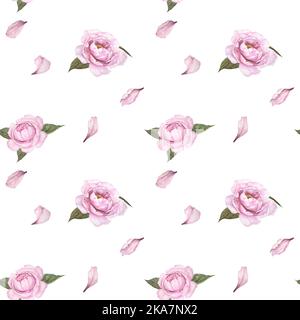 Aquarell-Nahtloses Muster mit rosa zarten Pfingstrosen-Blütenblättern und Pfingstrosen-Blüten auf weißem Hintergrund Stockfoto