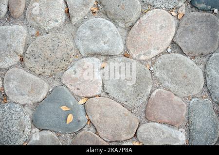Runder Kiesstein Pflaster Textur. Durch Beton fixiert. Kleine Herbstblätter fielen auf sie. Stockfoto