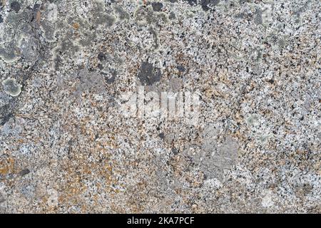 Graue Gesteinsstruktur mit grauen und schwarzen Flechten, die darauf wachsen. Mit orangefarbenen Spezifikationen. Stockfoto