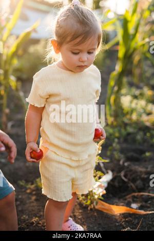 Baby Mädchen pflücken reife rote Bio-Tomaten im Gewächshaus mit ihrem Bruder und Mutter. Geschäft mit organischen Treibhausgasen. Familie, Garten, Gartenarbeit Stockfoto