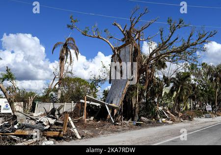 Sanibel Island, Usa. 31. Oktober 2022. Ein Monat nach Hurrikan Ian, der als Hurrikan der Kategorie 4 landet, werden in einem Baum entlang der Straße in Sanibel Island, Florida, Trümmer aus einem Haus gesehen. Der Sturm verursachte schätzungsweise $67 Milliarden versicherte Schäden und mindestens 127 stürmbedingte Todesfälle in Florida. Kredit: SOPA Images Limited/Alamy Live Nachrichten Stockfoto