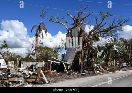 Sanibel Island, Usa. 31. Oktober 2022. Ein Monat nach Hurrikan Ian, der als Hurrikan der Kategorie 4 landet, werden in einem Baum entlang der Straße in Sanibel Island, Florida, Trümmer aus einem Haus gesehen. Der Sturm verursachte schätzungsweise $67 Milliarden versicherte Schäden und mindestens 127 stürmbedingte Todesfälle in Florida. (Foto von Paul Hennessy/SOPA Images/Sipa USA) Quelle: SIPA USA/Alamy Live News Stockfoto