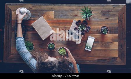 Draufsicht auf eine junge Frau, die Kamera, Pflanzen und Sonnenbrillen auf den Tisch legt, um Flachbilder zu machen. Design und modernes Technologiekonzept. Stockfoto