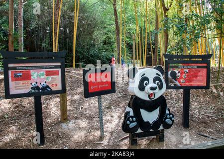 Atlanta USA 8. Oct 2022: Die Panda-Spendenbox im Zoo Atlanta. Stockfoto