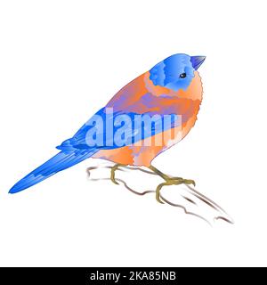 Bluebird kleine Drossel songbirdon ein Hintergrund vintage Vektor Illustration editierbare Hand zeichnen Stock Vektor