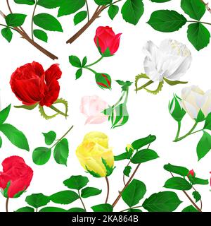 Nahtlose Textur Rosebuds rot gelb weiß Stamm mit Blättern und Blüten auf einem weißen Hintergrund vintage Vektor Illustration editierbar Handzeichnen Stock Vektor