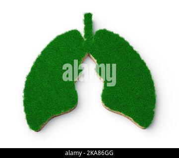 Eine 3D Illustration der Lungenform, die aus grünem Gras und einer felsigen Bodenstruktur auf weißem Hintergrund besteht Stockfoto