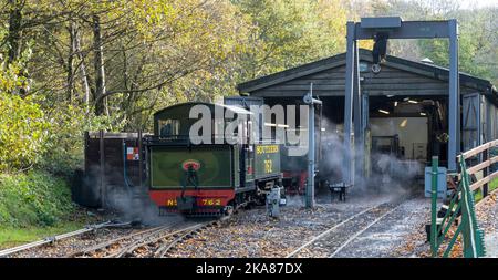 Blick auf die Dampflokomotive Lyn am Motorschuppen der Woody Bay Station, The Lynton & Barnstaple Railway, Lynton, North Devon, England, Großbritannien Stockfoto