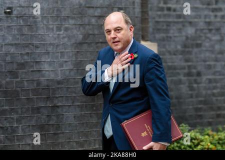 Downing Street, London, Großbritannien. 1.. November 2022. Ben Wallace MP, Staatssekretär für Verteidigung, zeigt stolz seinen Mohn, als er an der wöchentlichen Kabinettssitzung in der Downing Street 10 teilnimmt.Foto von Amanda Rose/Alamy Live News Stockfoto