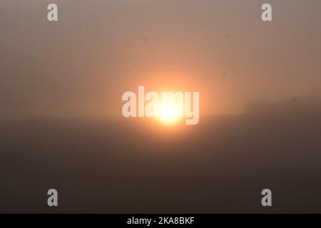 Sonne im schweren Morgennebel Stockfoto