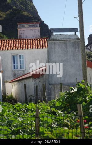 Eine schöne Aufnahme der traditionellen Häuser der Insel Corvo in hellem Sonnenlicht auf den Azoren, Portugal Stockfoto