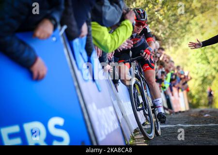 Melden, Belgien, 01. November 2022. Die Holländerin Denise Betsema überquert die Ziellinie beim Damenrennen während des Koppenbergcross, dem ersten Rennen (von acht) der Badkamers-Trophäe X2O, am Dienstag, den 01. November 2022 in Melden. BELGA FOTO DAVID PINTENS Stockfoto