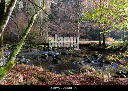 Gorges de l'Areuse, Noirague, Neuchatel, Schweiz, Europa. Schöne romantische Herbstlandschaft am Bach. Fluss mit moosigen Felsbrocken, herbstlich n Stockfoto