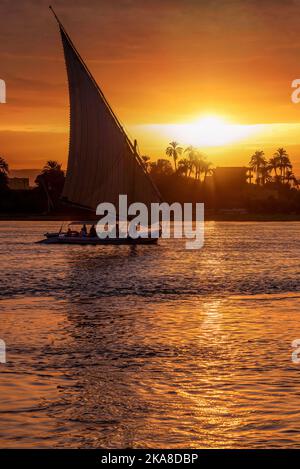 Eine Felucca, die auf dem Nil bei Assuan segelt Stockfoto