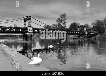 Die Fährbrücke über den Fluss Trent, Burton-upon-Trent-Stadt, Staffordshire, England; Großbritannien Stockfoto