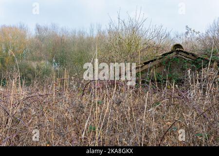 Eine alte Hütte, die in Brambles in der Nähe von Pett Level, East Sussex, Großbritannien, begraben wurde Stockfoto